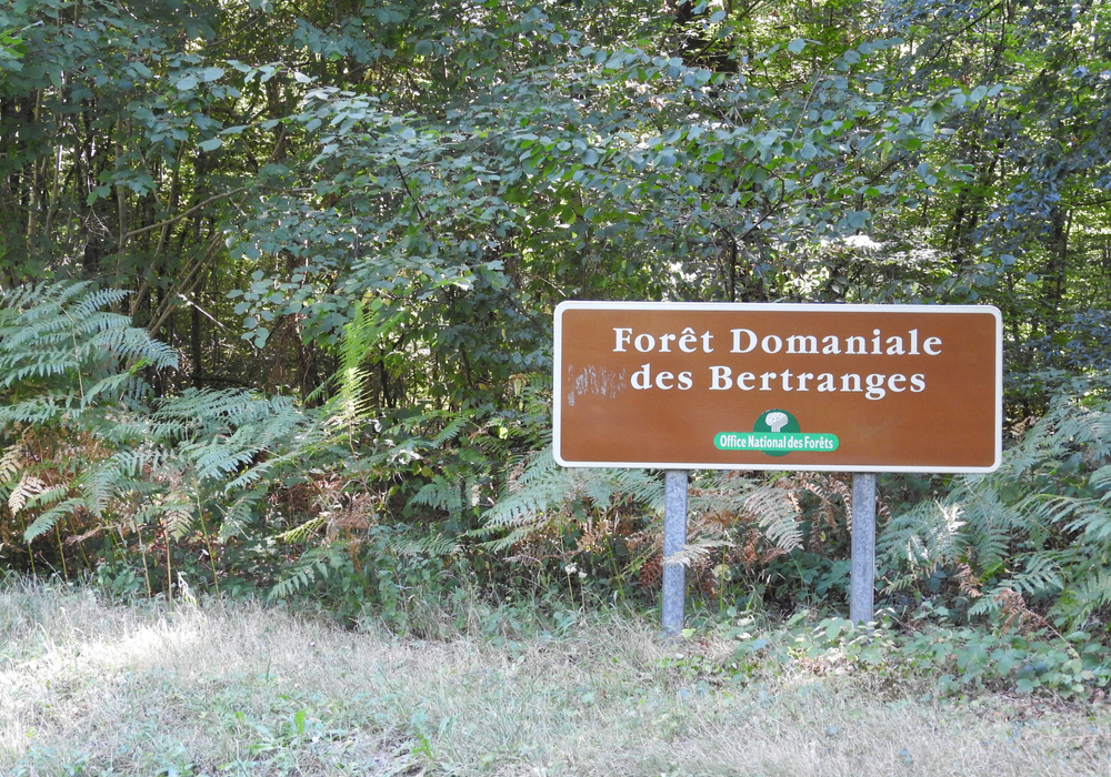 Panneau Forêt des Bertranges - ©CCLB
