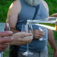 service vin blanc montenoison 2022