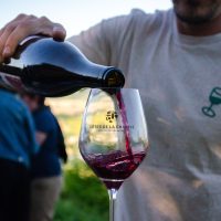 service vin rouge montenoison 2022